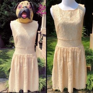 Gorgeous, LOFT, sparkly, lace dress!!